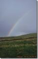 Dateiname=irland_doolin11.jpg
Dateigröße=22KB
Abmessungen: 412x637
hinzugefügt am: 24. April 2003 irland_doolin11.jpg