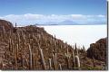 Dateiname=bolivien_uyuni05.jpg
Dateigröße=44KB
Abmessungen: 612x409
hinzugefügt am: 26. April 2003 bolivien_uyuni05.jpg