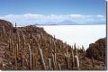 bolivien_uyuni05.jpg