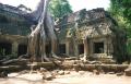 weltreise_cambodia_f02_bild36.jpg