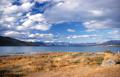 Dateiname=weltreise_neuseeland_f28_bild17.jpg
Dateigröße=59KB
Abmessungen: 600x387
hinzugefügt am: 22. Juni 2004 weltreise_neuseeland_f28_bild17.jpg