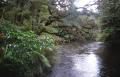 Dateiname=weltreise_neuseeland_f33_bild29.jpg
Dateigröße=75KB
Abmessungen: 600x387
hinzugefügt am: 12. Juli 2004 weltreise_neuseeland_f33_bild29.jpg