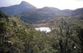 Dateiname=weltreise_neuseeland_f34_bild07.jpg
Dateigröße=63KB
Abmessungen: 600x387
hinzugefügt am: 12. Juli 2004 weltreise_neuseeland_f34_bild07.jpg