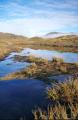 Dateiname=weltreise_neuseeland_f34_bild34.jpg
Dateigröße=58KB
Abmessungen: 391x600
hinzugefügt am: 12. Juli 2004 weltreise_neuseeland_f34_bild34.jpg