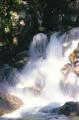 Dateiname=weltreise_neuseeland_f35_bild32.jpg
Dateigröße=50KB
Abmessungen: 395x600
hinzugefügt am: 12. Juli 2004 weltreise_neuseeland_f35_bild32.jpg