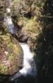 Dateiname=weltreise_neuseeland_f36_bild02.jpg
Dateigröße=81KB
Abmessungen: 385x600
hinzugefügt am: 12. Juli 2004 weltreise_neuseeland_f36_bild02.jpg