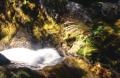 Dateiname=weltreise_neuseeland_f36_bild07.jpg
Dateigröße=79KB
Abmessungen: 600x391
hinzugefügt am: 12. Juli 2004 weltreise_neuseeland_f36_bild07.jpg