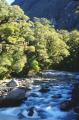 Dateiname=weltreise_neuseeland_f37_bild31.jpg
Dateigröße=87KB
Abmessungen: 397x600
hinzugefügt am: 26. Juli 2004 weltreise_neuseeland_f37_bild31.jpg