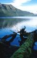 Dateiname=weltreise_neuseeland_f24_bild27.jpg
Dateigröße=58KB
Abmessungen: 385x600
hinzugefügt am: 04. April 2004 weltreise_neuseeland_f24_bild27.jpg