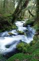 Dateiname=weltreise_neuseeland_f25_bild09.jpg
Dateigröße=82KB
Abmessungen: 385x600
hinzugefügt am: 04. April 2004 weltreise_neuseeland_f25_bild09.jpg