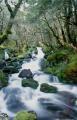 Dateiname=weltreise_neuseeland_f11_bild31.jpg
Dateigröße=77KB
Abmessungen: 389x600
hinzugefügt am: 11. Februar 2004 weltreise_neuseeland_f11_bild31.jpg