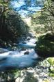 Dateiname=weltreise_neuseeland_f12_bild26.jpg
Dateigröße=83KB
Abmessungen: 395x600
hinzugefügt am: 11. Februar 2004 weltreise_neuseeland_f12_bild26.jpg