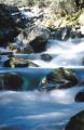 Dateiname=weltreise_neuseeland_f12_bild30.jpg
Dateigröße=60KB
Abmessungen: 391x600
hinzugefügt am: 11. Februar 2004 weltreise_neuseeland_f12_bild30.jpg