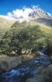 Dateiname=weltreise_neuseeland_f12_bild39.jpg
Dateigröße=69KB
Abmessungen: 385x600
hinzugefügt am: 11. Februar 2004 weltreise_neuseeland_f12_bild39.jpg