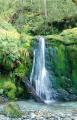 Dateiname=weltreise_neuseeland_f22_bild39.jpg
Dateigröße=91KB
Abmessungen: 385x600
hinzugefügt am: 04. April 2004 weltreise_neuseeland_f22_bild39.jpg