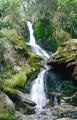 Dateiname=weltreise_neuseeland_f23_bild14.jpg
Dateigröße=97KB
Abmessungen: 389x600
hinzugefügt am: 04. April 2004 weltreise_neuseeland_f23_bild14.jpg