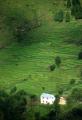 Dateiname=weltreise_nepal_f02_bild30.jpg
Dateigröße=62KB
Abmessungen: 414x600
hinzugefügt am: 01. Juli 2003 weltreise_nepal_f02_bild30.jpg